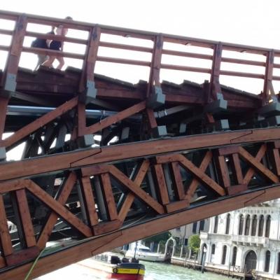Ponte dell'accademia - Venezia
